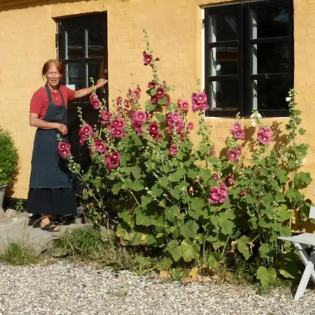 Oda ve Kahvaltı Bojden Bed & Breakfast
